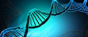 Alteración genética causa 80% de enfermedades raras