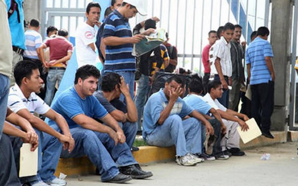 Alza en desempleo en jóvenes mexicanos  entre 15 y 24 años: OCDE 