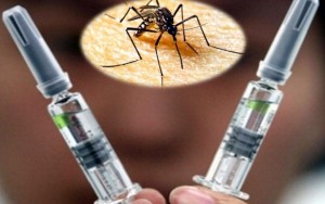 Buscan vacuna conjunta Zika y Dengue