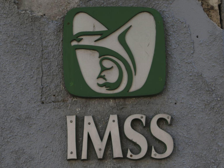 Cómo tramitar el Número de Seguridad Social del IMSS