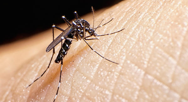 EU emite alerta de viaje a Miami por presencia de zika