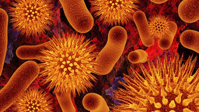 Infecciones por bacterias resistentes suben costos de enfermedades