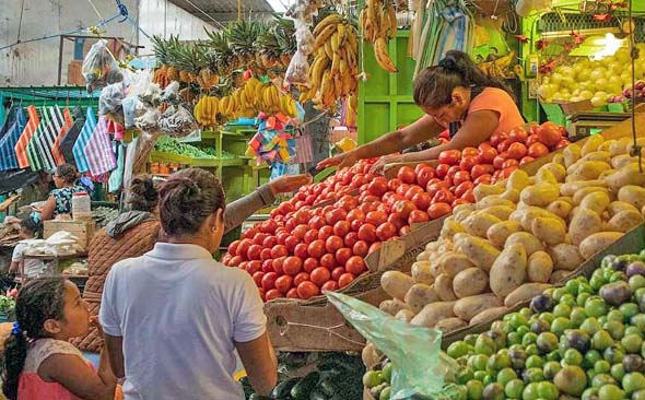 Inflación se comió aumento del SM, existe pobreza alimentaria en México: ANPEC