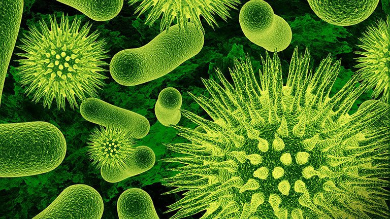 IPN estudia bacterias con potencial farmacéutico
