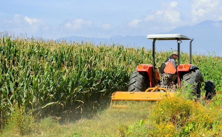 Lanzan nueva herramienta para sector laboral agrícola