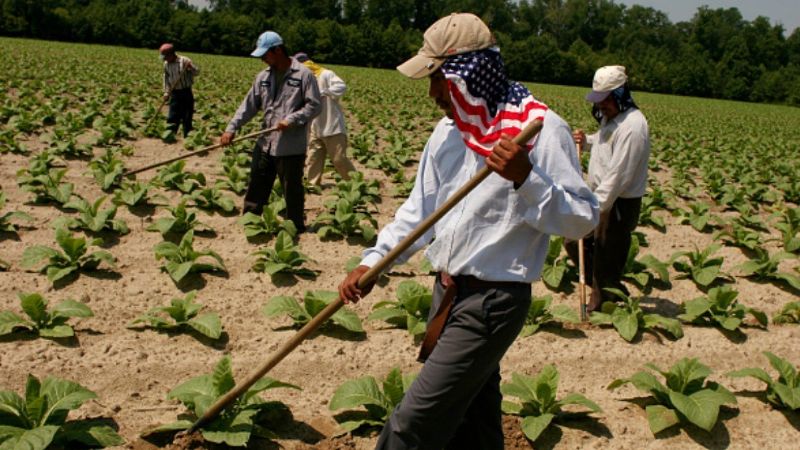Más de un millón de empleos traería programa ‘Sembrando Vida’ en Centroamérica: AMLO