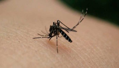 México suma cuatro mil 306 casos de zika