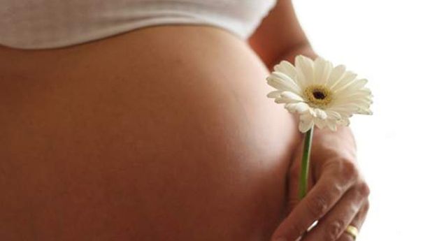 Proponen reformas legales para proteger a embarazadas 