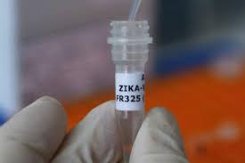 Vacuna experimental del zika, en primera fase
