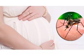 Van 183 casos de zika, 42 embarazadas