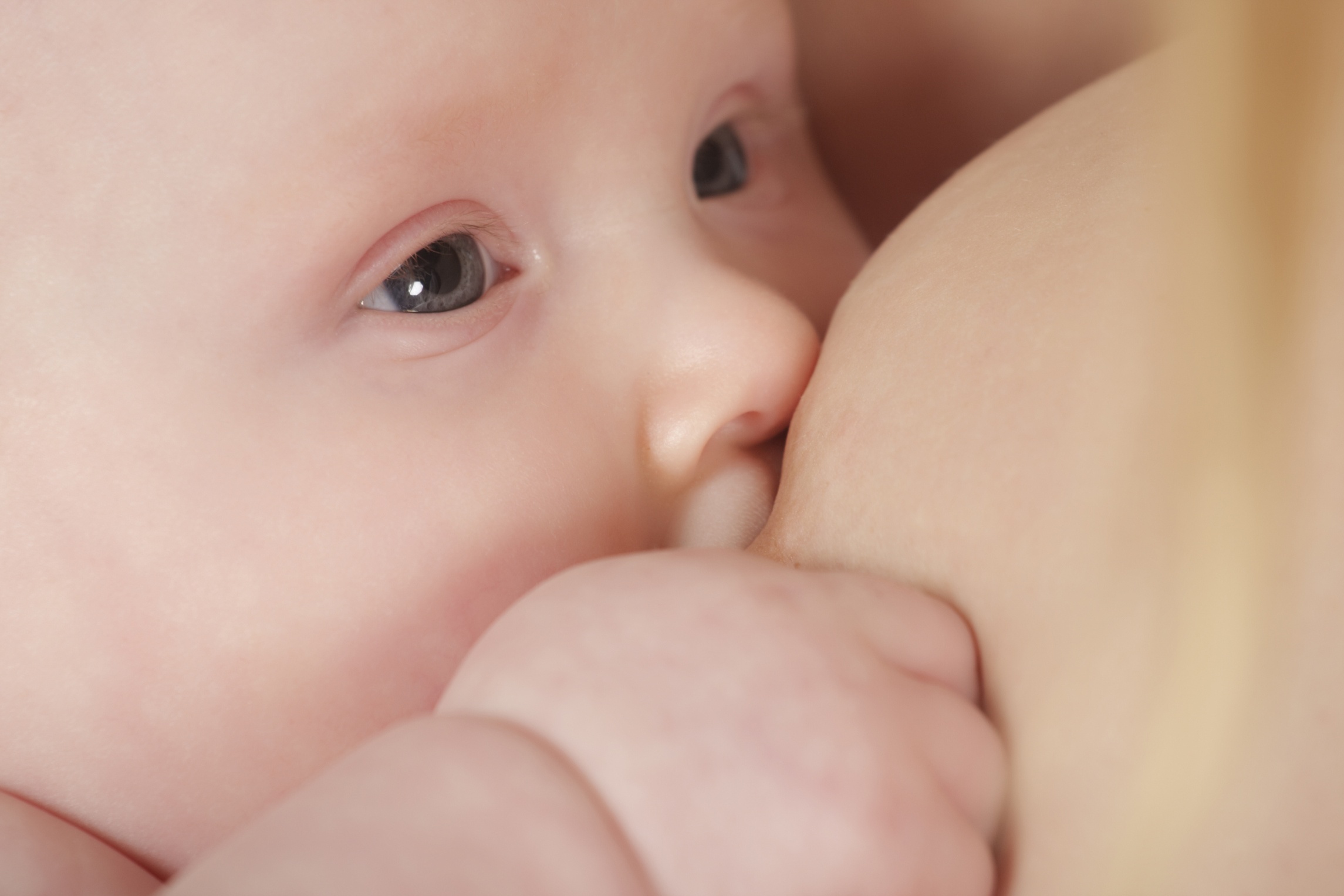 Amamantar protege a bebés de infecciones