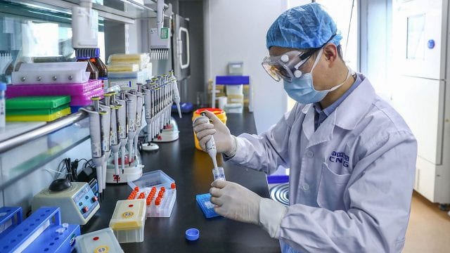 Coronavirus no viene del "murciélago" sino de un laboratorio chino 