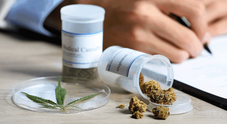 Evaluará IMSS ingresar medicamentos de cannabis a cuadro básico