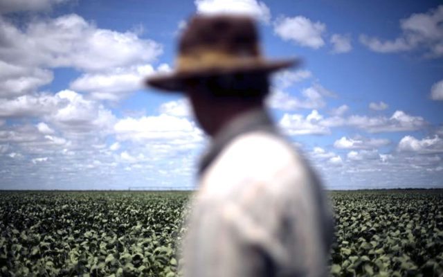 México y Canadá reanudan programa de trabajadores agrícolas temporales