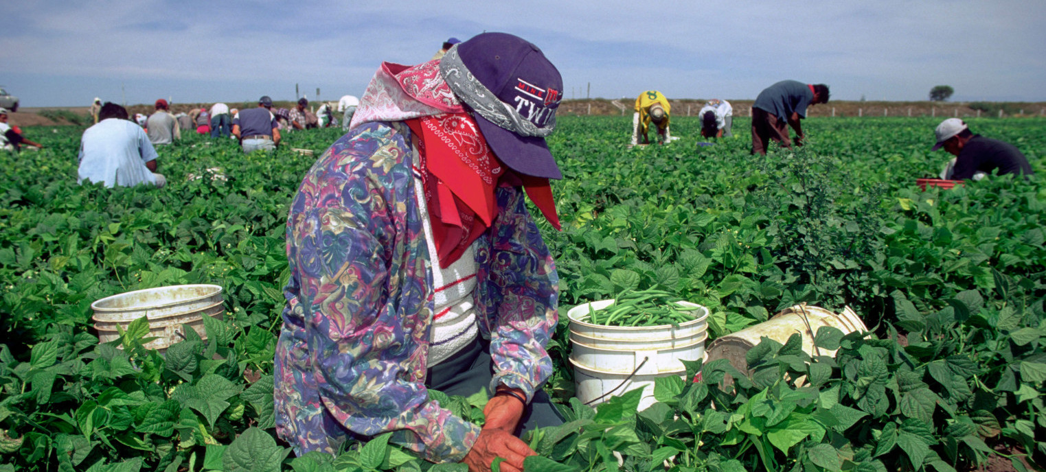 Piden garantizar nuevo salario mínimo fronterizo a jornaleros agrícolas