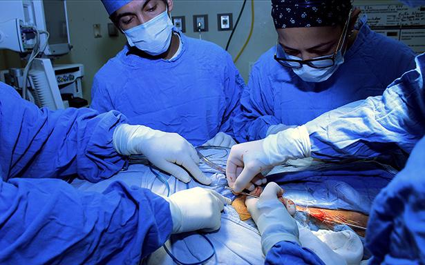Realiza el IMSS cuatro trasplantes de riñón de manera simultánea